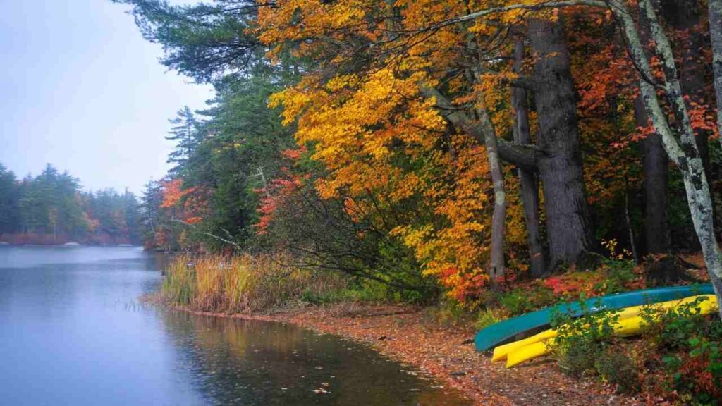 a kayak and a canoe rest next to a lake during the fall