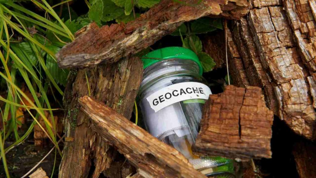 a geocache in the forest