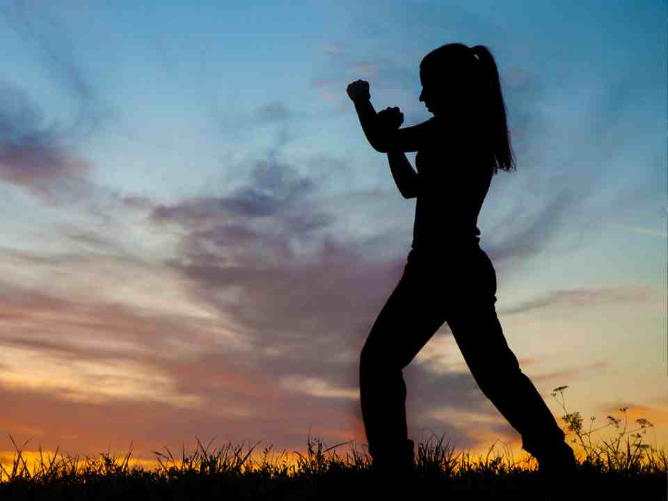 silhouette of a women in a self-defense pose 