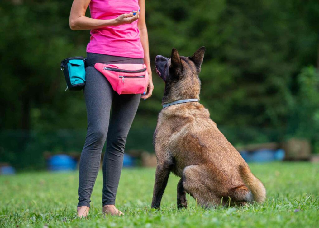 woman trains a dog