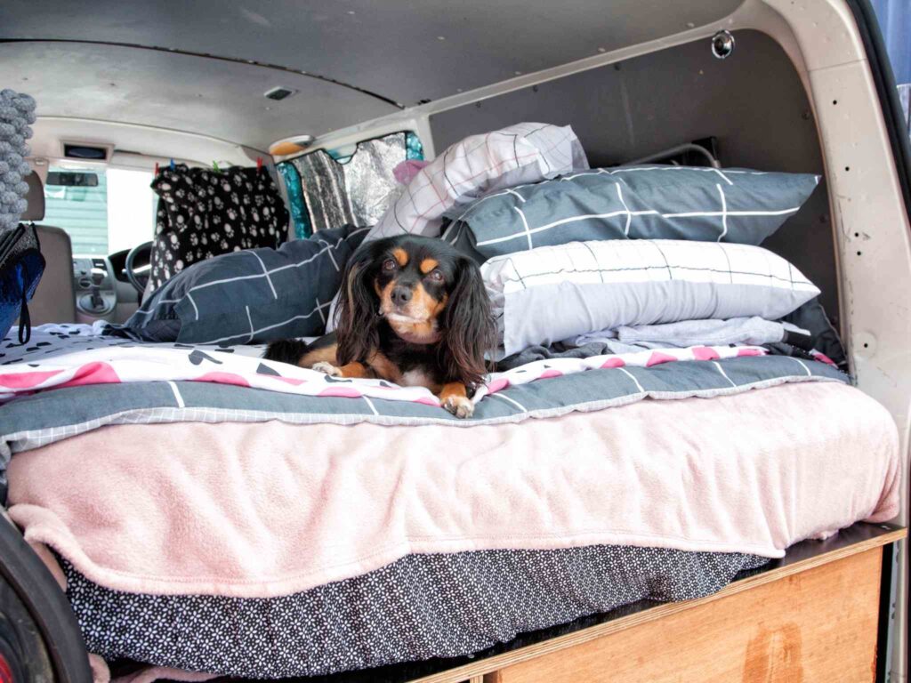 A dog rest on a camper van bed
