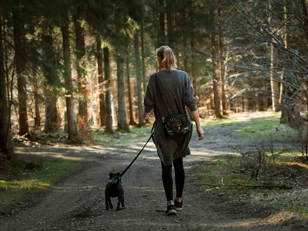 woman walks a dog in the woods